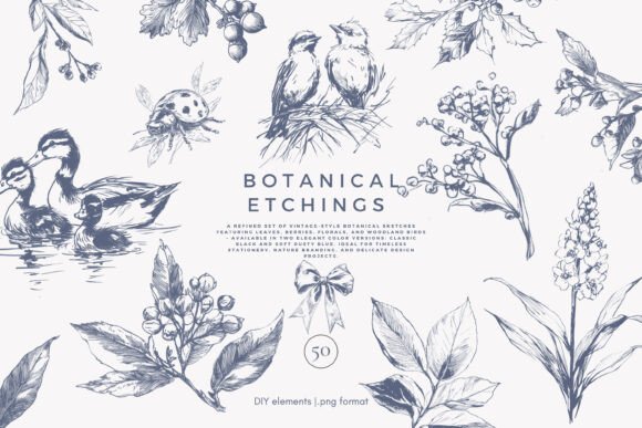 Download Botanical Clipart Vintage Illustration - Art Collection